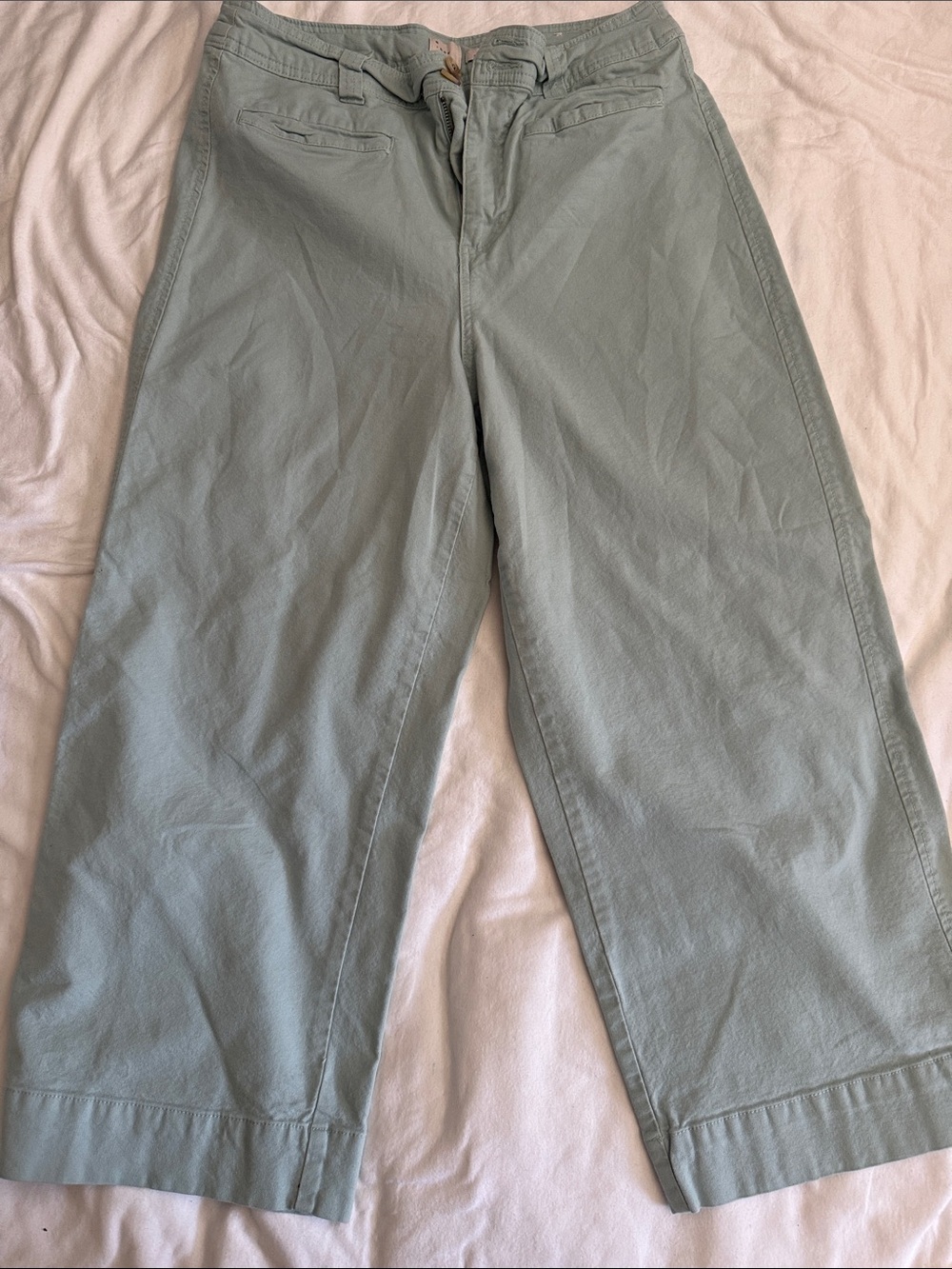 a new day Women’s Wide-Leg Chinos in Sage